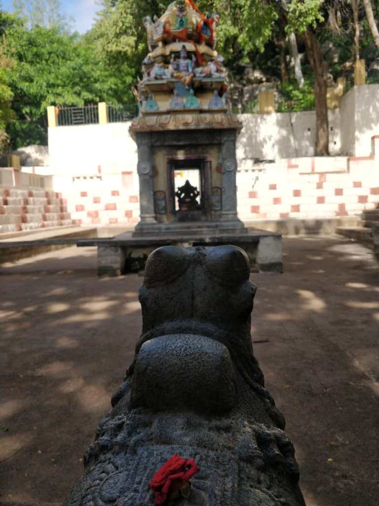 Nandi @ Shree Kaashi Vishwanatha Temple